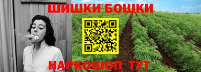 стафф Моздок