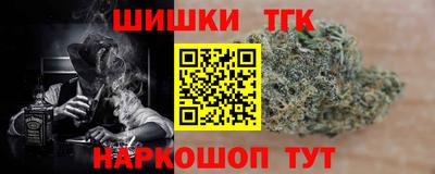 стафф Моздок
